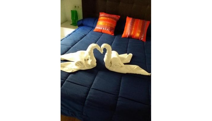 Amerigo Premium Apartments poza 0