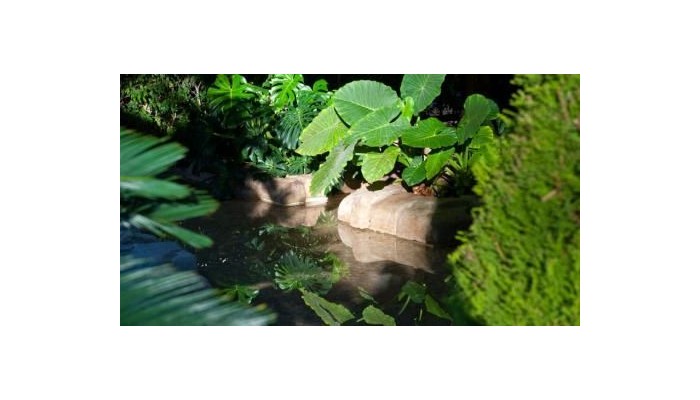 Don Pancho Hotel poza 39