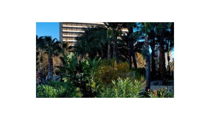 Don Pancho Hotel poza 26