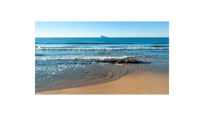 Don Pancho Hotel poza 22