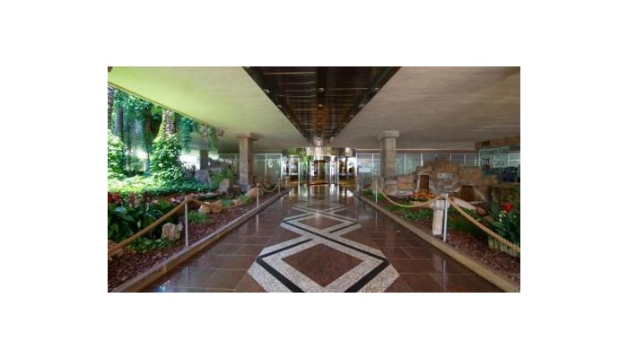 Don Pancho Hotel poza 6