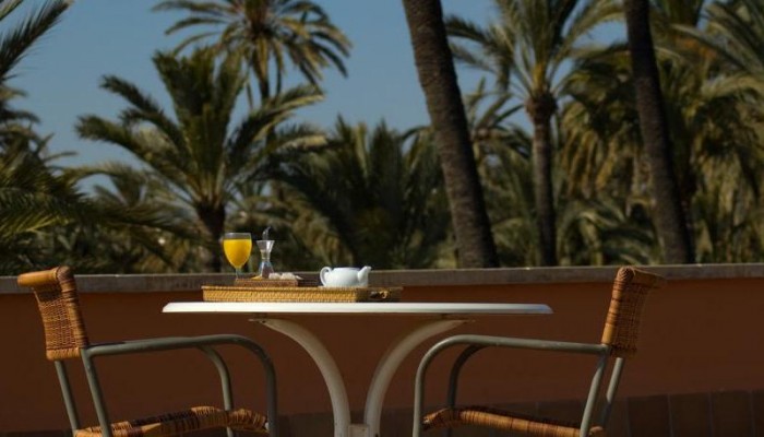 Hotel Jardin Milenio poza 7