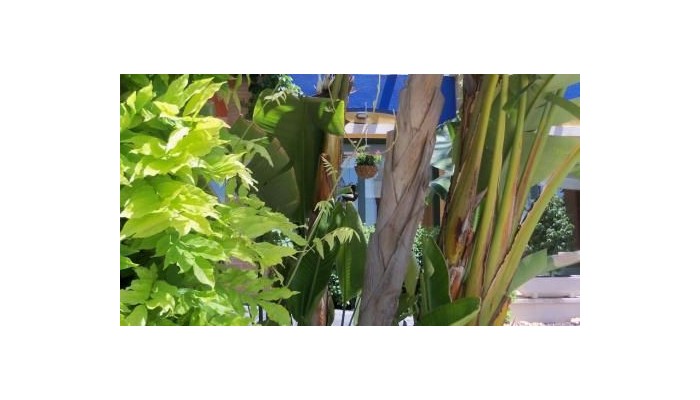 Hotel La Laguna Spa And Golf poza 10