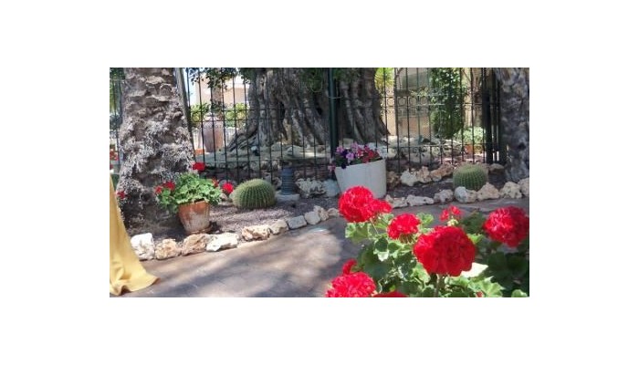 Hotel La Laguna Spa And Golf poza 12