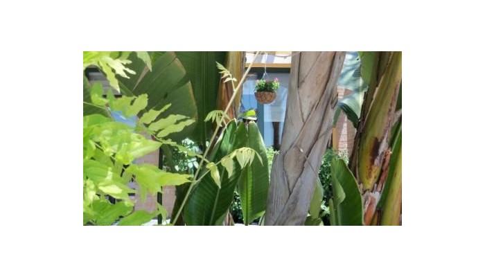 Hotel La Laguna Spa And Golf poza 19