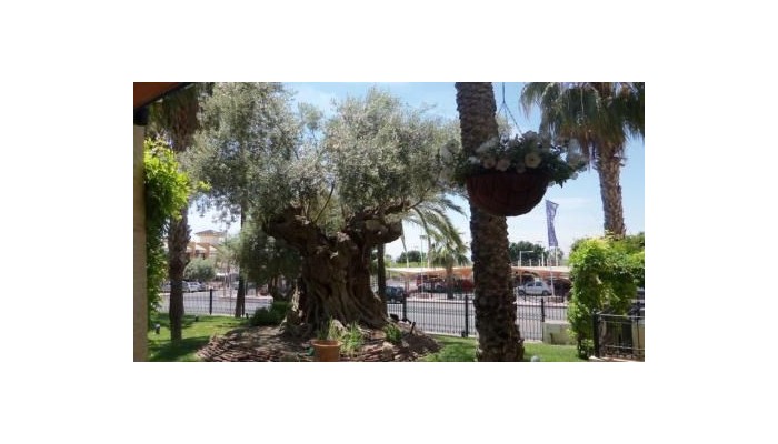 Hotel La Laguna Spa And Golf poza 38