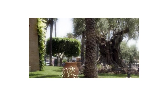 Hotel La Laguna Spa And Golf poza 31