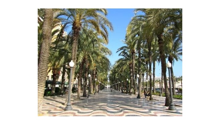 Hotel Rambla Alicante poza 26