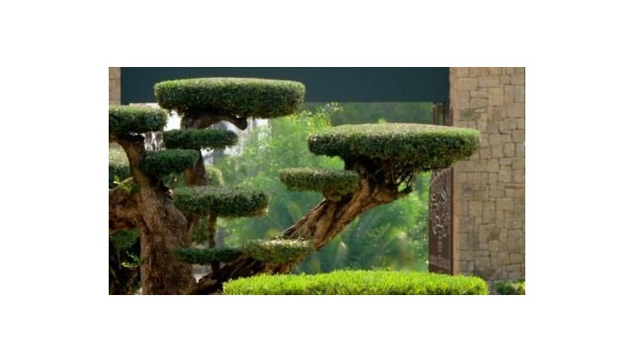 Hotel Swiss Moraira poza 33