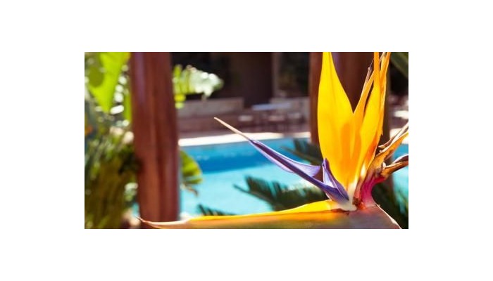 Hotel Swiss Moraira poza 18