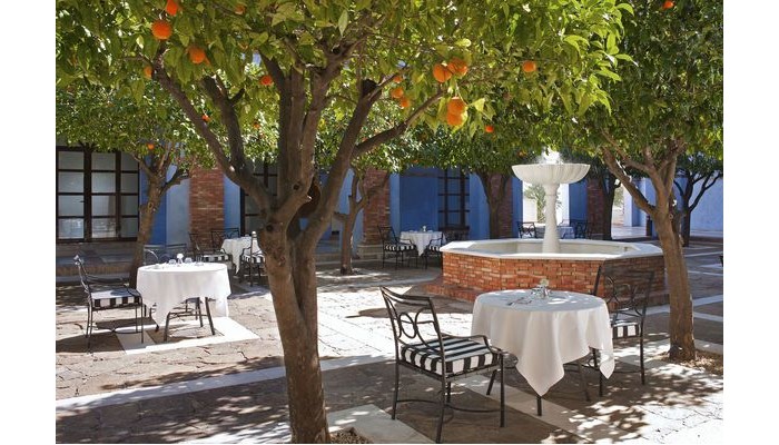 Hotel The Level At Melia Villaitana poza 6