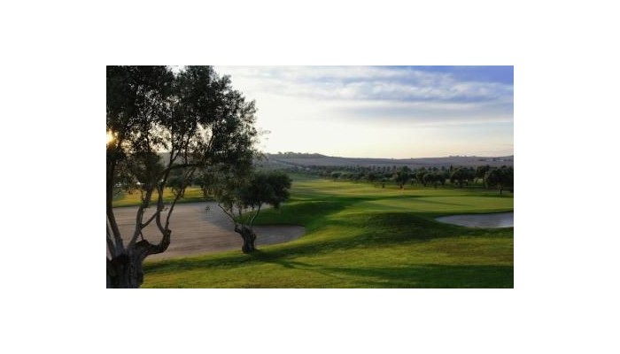La Finca Golf & Spa Resort poza 31