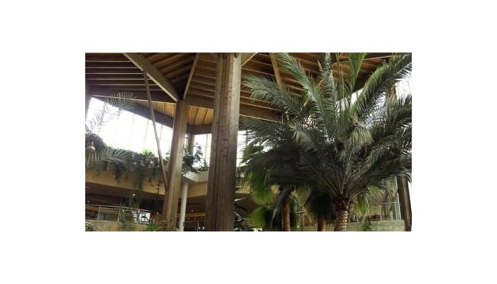 Medplaya Hotel Flamingo Oasis poza 20