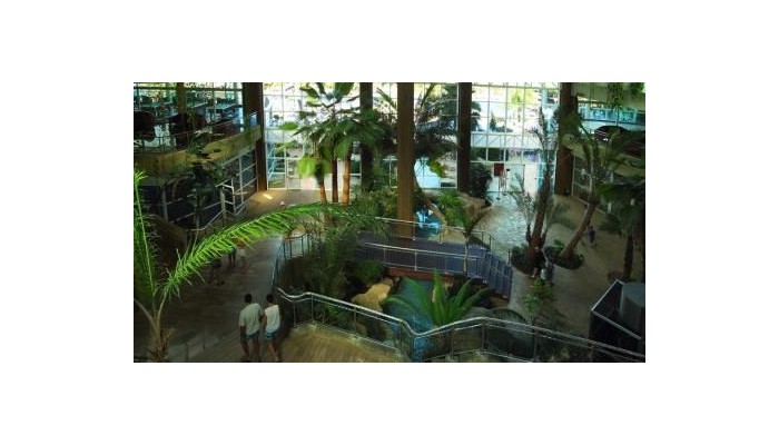 Medplaya Hotel Flamingo Oasis poza 1