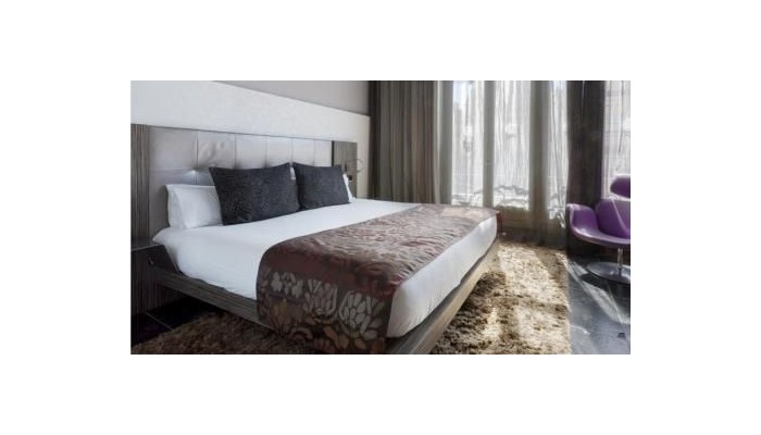 Hotel Petit Palace Museum poza 15