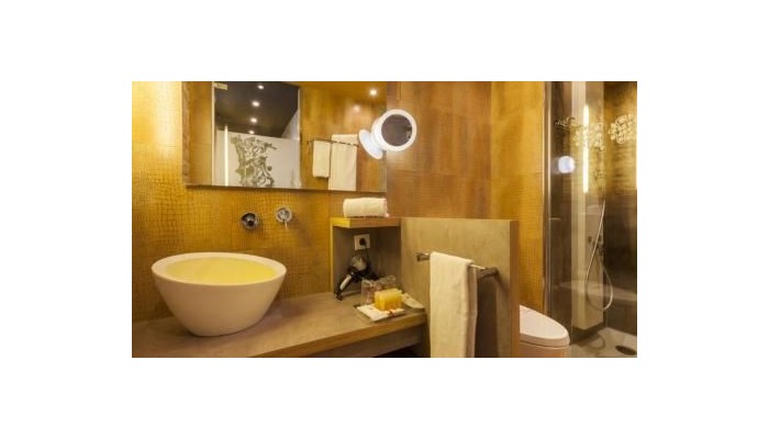 Hotel Petit Palace Museum poza 30