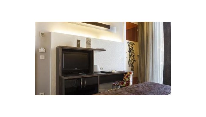 Hotel Petit Palace Museum poza 12