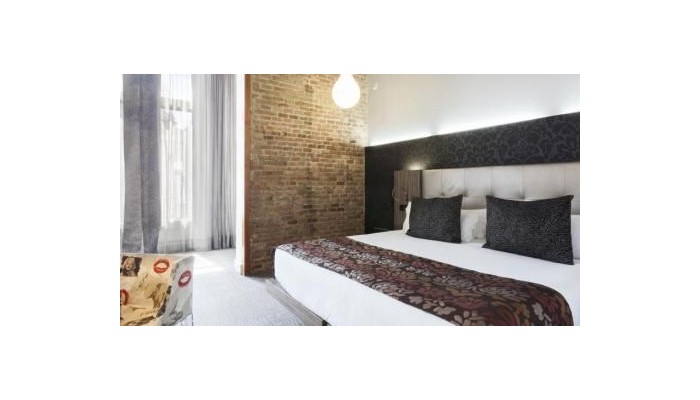 Hotel Petit Palace Museum poza 4