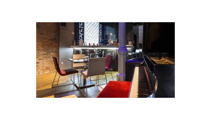 Hotel Petit Palace Museum poza 23