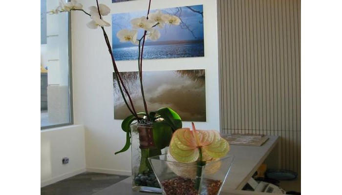Amister Apartments poza 7