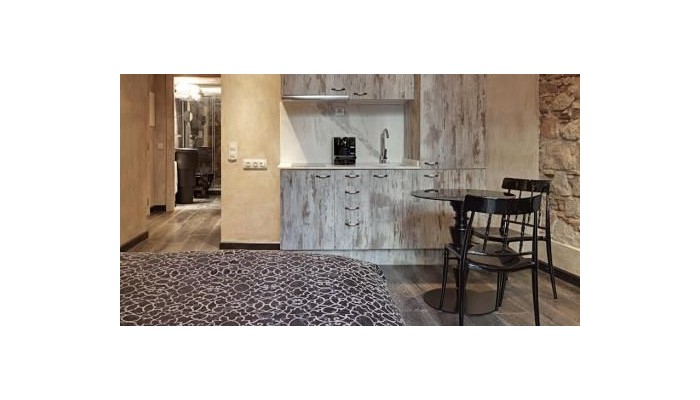 Aparthotel Arai poza 1