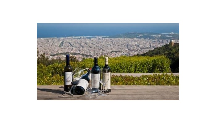 Gran Hotel La Florida poza 33