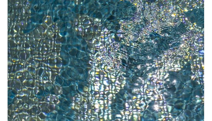 Hotel El Palace poza 9