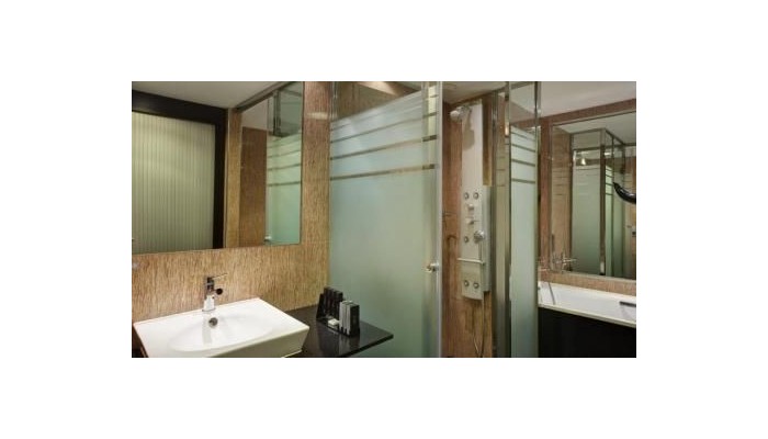 Poza pentru Hotel Melia Barcelona Sarria 211-1462927139 Hotel Melia Barcelona Sarria poza 39