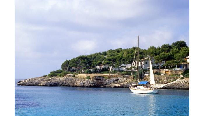 Hotel Alua Suites Las Rocas poza 3