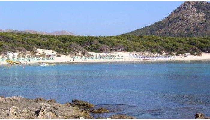 Hotel Hsm Regana poza 2