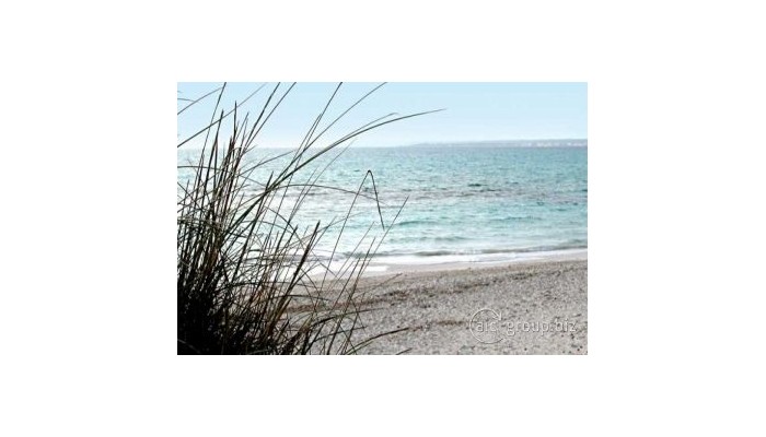 Hotel Apartaments Estrenc poza 7