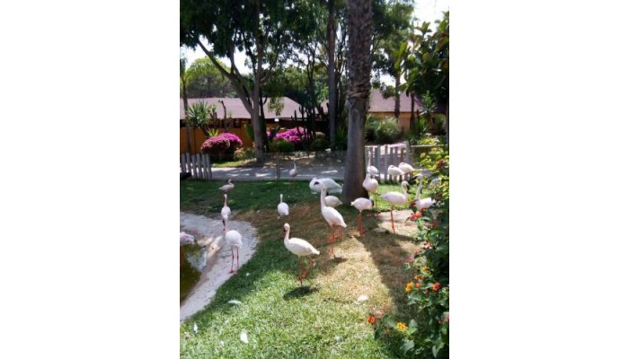 Hotel Itaca Fuengirola poza 12