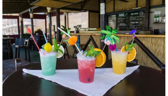 Hotel Pyr Fuengirola poza 18