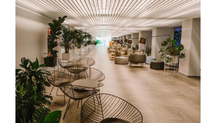 Hotel Don Gregory By Dunas poza 5