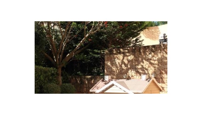 Hotel Insotel Fenicia Prestige Suites And Spa poza 16