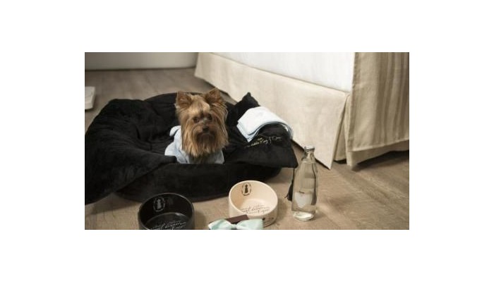 Hotel Me Ibiza poza 26