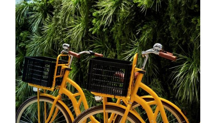 Hotel Sir Joan poza 6