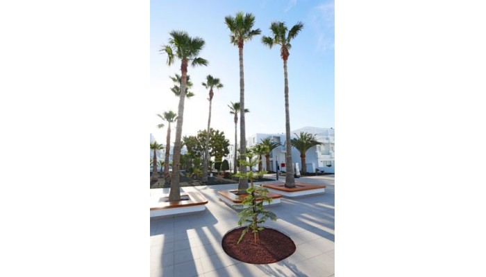 Hotel Aequora Lanzarote Suites poza 7