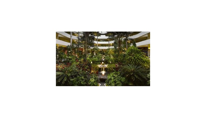 Hotel Melia Salinas Adults Only poza 7