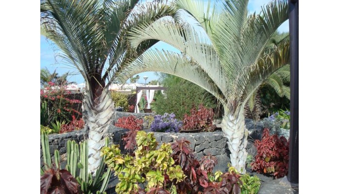 Hotel Villa Vik poza 2