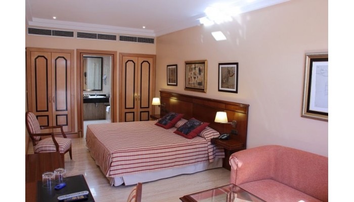 Hotel Villa Vik poza 3