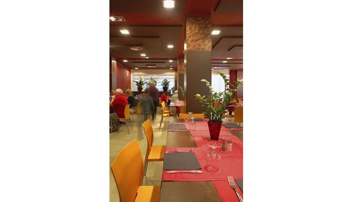 Alegria Plaza Paris Hotel **** poza 3