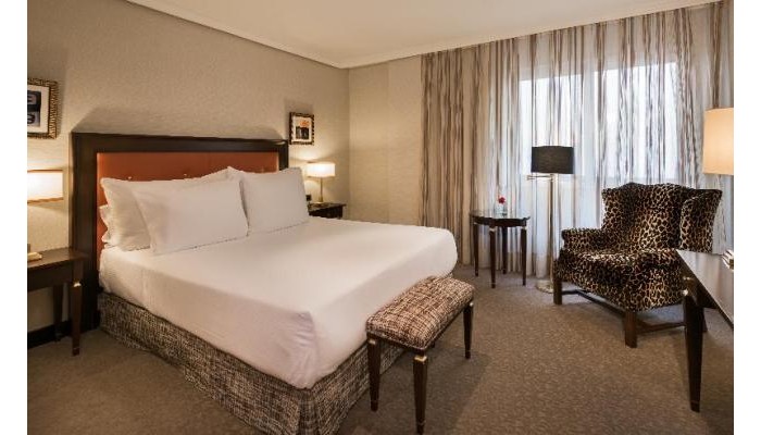 Poza pentru Hesperia Madrid Hotel 7397-1550476465 Hesperia Madrid Hotel poza 0