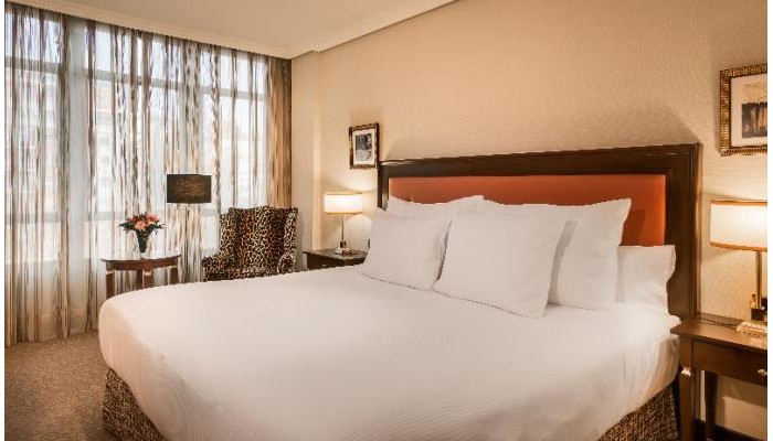 Poza pentru Hesperia Madrid Hotel 8505-1550476467 Hesperia Madrid Hotel poza 4