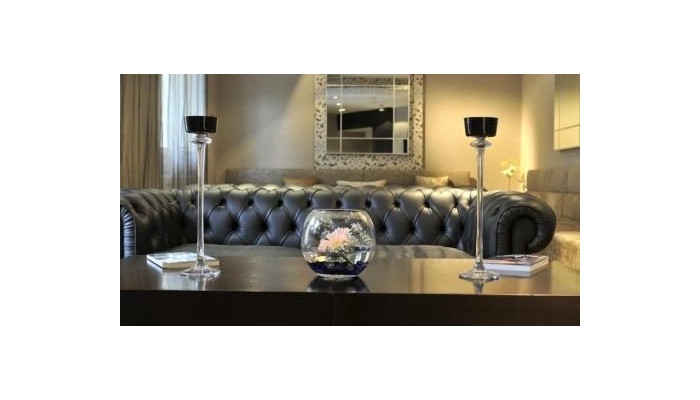 Poza pentru Hospes Madrid Hotel 61-1461542706 Hospes Madrid Hotel poza 22