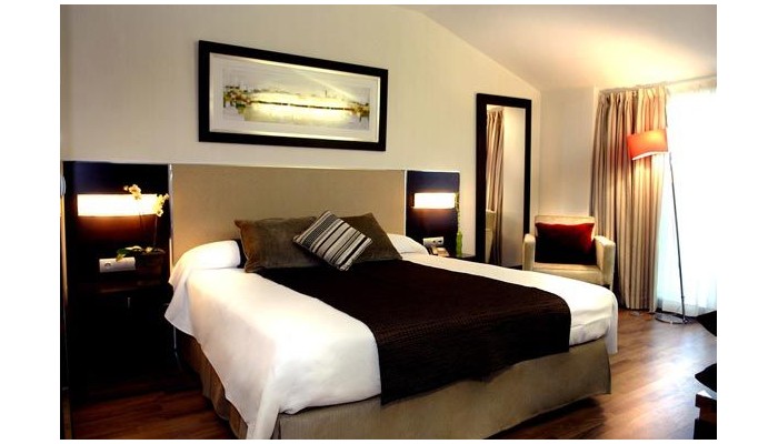 Hotel Asset Torrejon poza 2