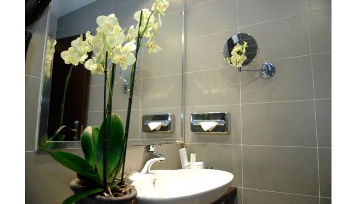 Hotel Asset Torrejon poza 3