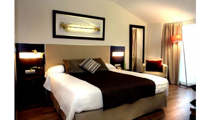 Hotel Asset Torrejon poza 7