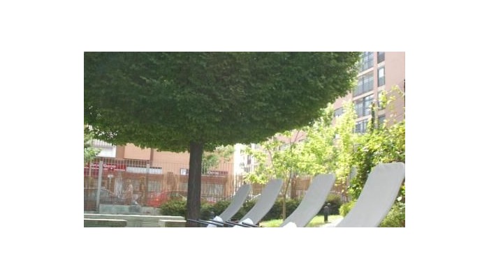 Poza pentru Hotel Eco Via Lusitana 111-1461543951 Hotel Eco Via Lusitana poza 22