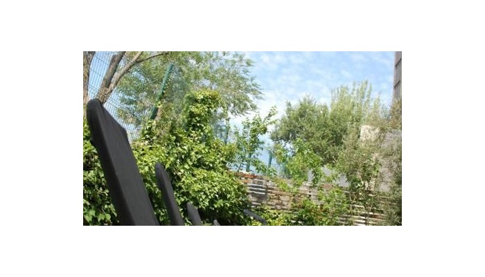 Poza pentru Hotel Eco Via Lusitana 716-1461543946 Hotel Eco Via Lusitana poza 12
